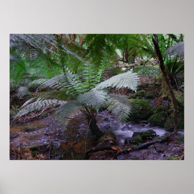 Ferngully Poster (Vorne)