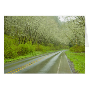 Fernlandstraße durch Wald