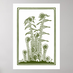 Ferns (1920) by Julie de Graag Vintage Woodcut Poster