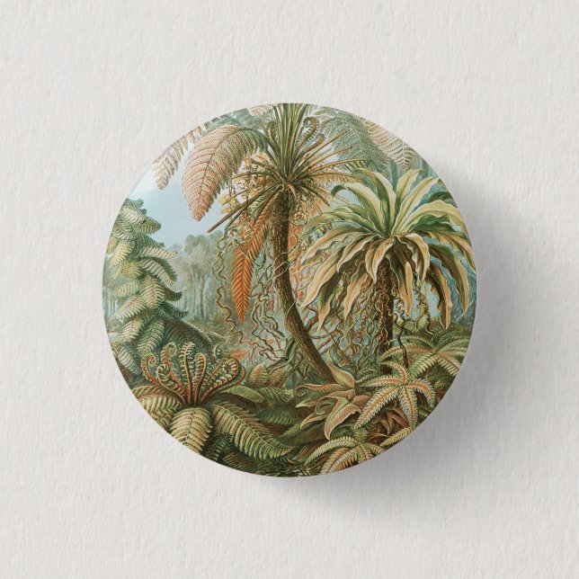 Ferns, Filicinae Laubfarne von Ernst Haeckel Button (Vorderseite)