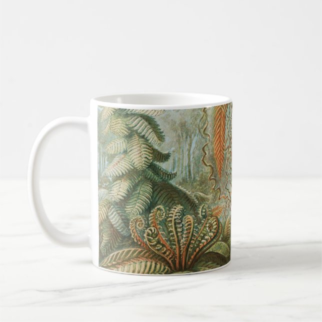 Ferns, Filicinae Laubfarne von Ernst Haeckel Kaffeetasse (Links)