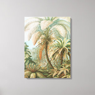 Ferns, Filicinae Laubfarne von Ernst Haeckel Leinwanddruck