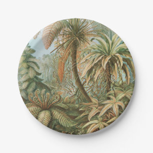 Ferns, Filicinae Laubfarne von Ernst Haeckel Pappteller