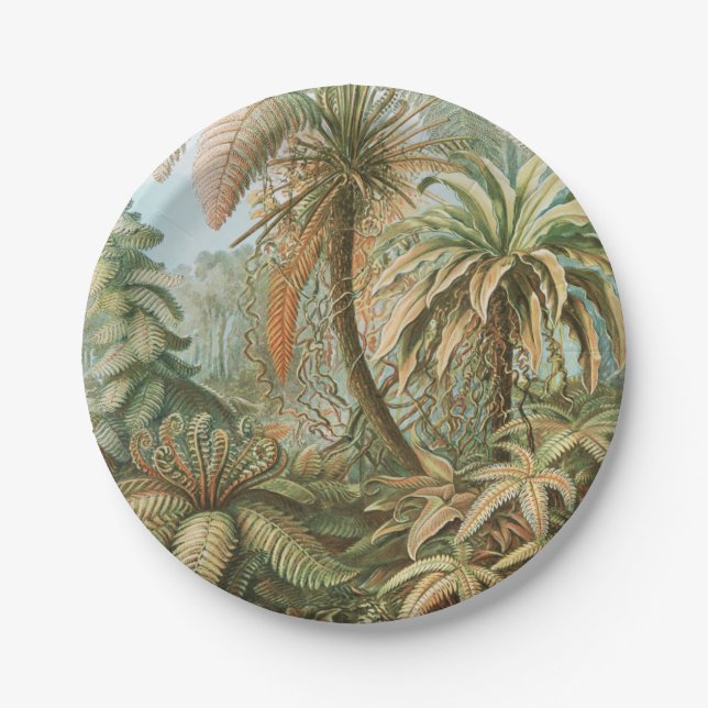 Ferns, Filicinae Laubfarne von Ernst Haeckel Pappteller (Vorderseite)