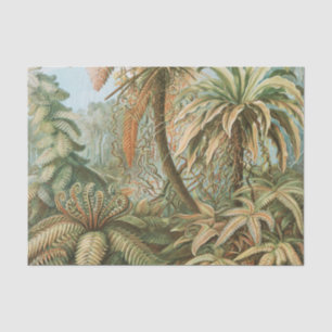 Ferns, Filicinae Laubfarne von Ernst Haeckel Seidenpapier