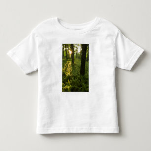 Ferns im Wald in Grafton, Massachusetts. Kleinkind T-shirt