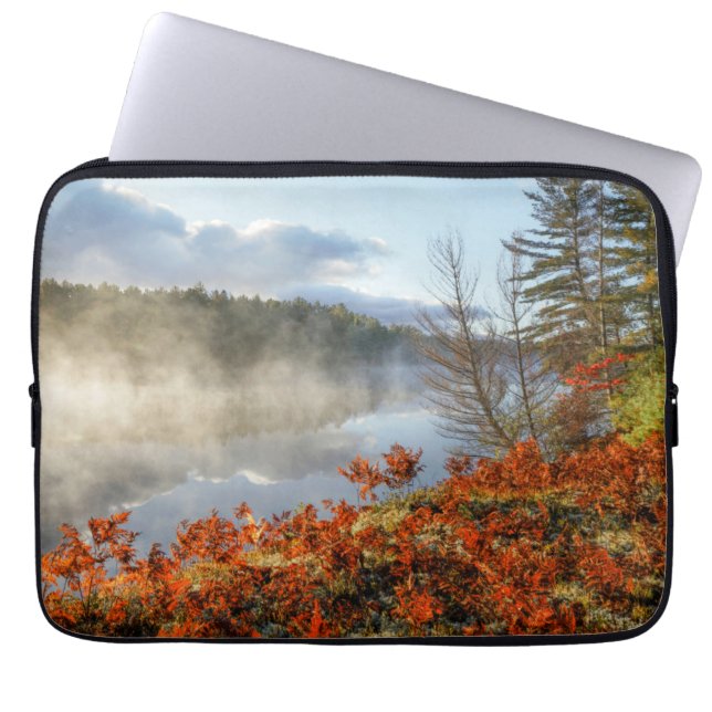 Ferns on Shoreline | Paradies, Michigan Laptopschutzhülle (Vorderseite)