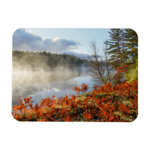 Ferns on Shoreline   Paradies, Michigan Magnet