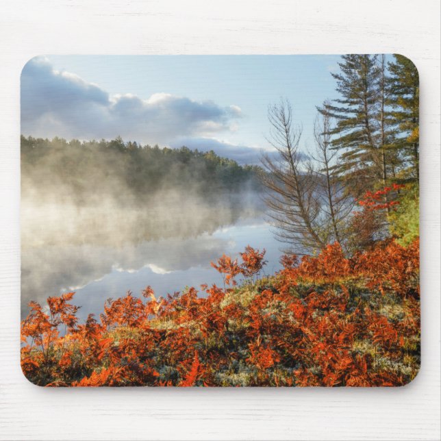 Ferns on Shoreline | Paradies, Michigan Mousepad (Vorne)