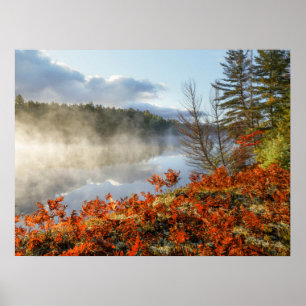 Ferns on Shoreline   Paradies, Michigan Poster