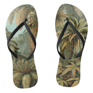 Ferns Palm Tree Antique Botanischer Garten Flip Flops