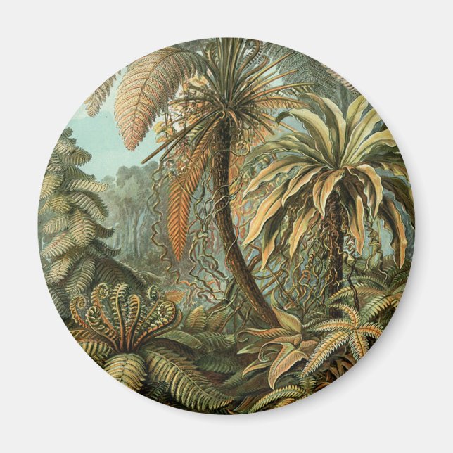 Ferns Palm Tree Antique Botanischer Garten Magnet (Vorne)