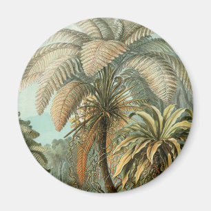 Ferns Palm Tree Antique Botanischer Garten Magnet