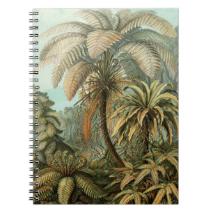 Ferns Palm Tree Antique Botanischer Garten Notizblock