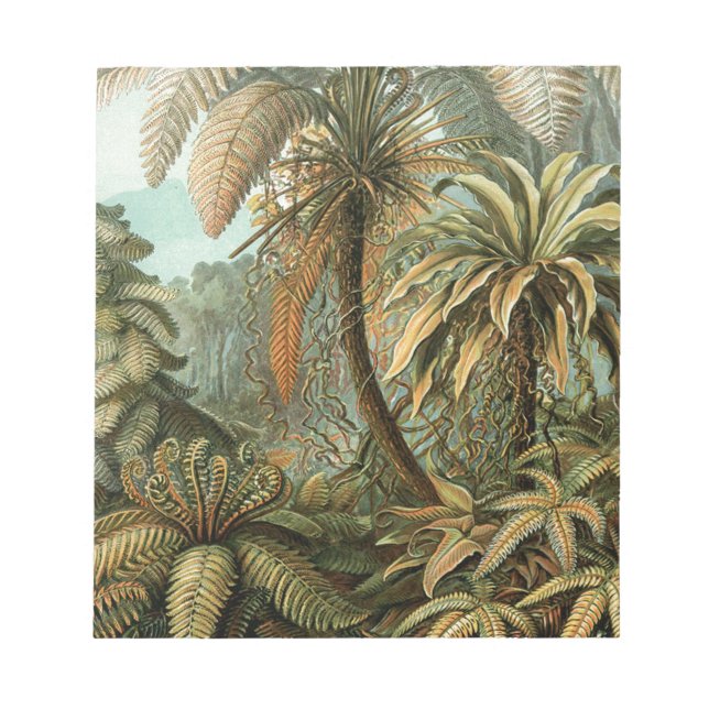 Ferns Palm Tree Antique Botanischer Garten Notizblock (Vorderseite)