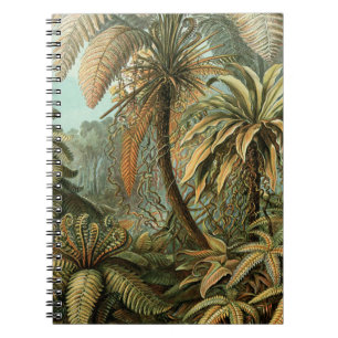 Ferns Palm Tree Antique Botanischer Garten Notizblock
