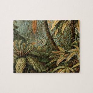 Ferns Palm Tree Antique Botanischer Garten Puzzle