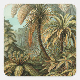 Ferns Palm Tree Antique Botanischer Garten Quadratischer Aufkleber
