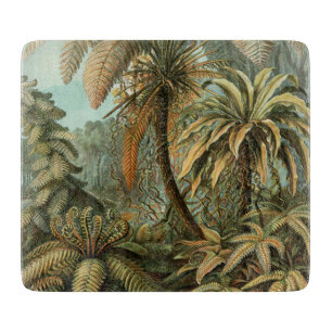 Ferns Palm Tree Antique Botanischer Garten Schneidebrett
