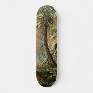 Ferns Palm Tree Antique Botanischer Garten Skateboard