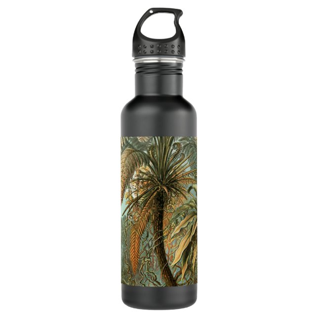 Ferns Palm Tree Antique Botanischer Garten Trinkflasche (Vorderseite)
