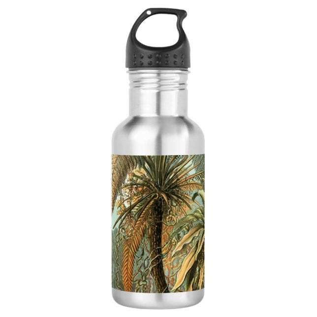 Ferns Palm Tree Antique Botanischer Garten Trinkflasche (Vorderseite)