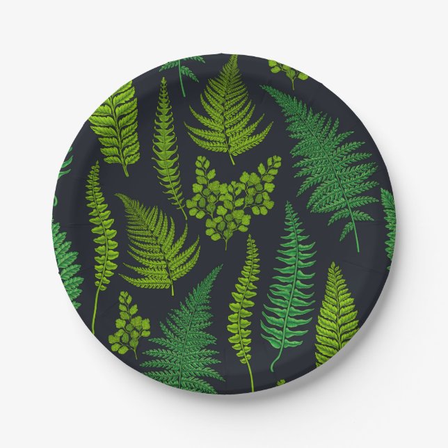Ferns Pappteller (Vorderseite)