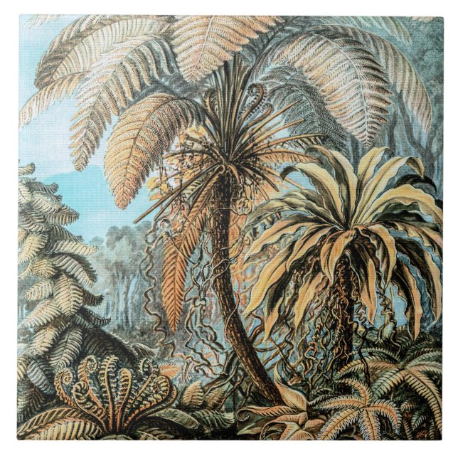Ferns Vintage Plants by Ernst Haeckel Fliese (Vorderseite)