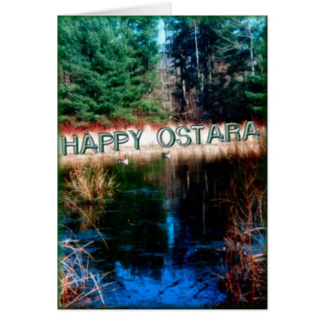 Fernschwimmer (Vorne)