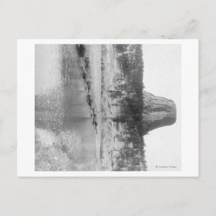 Fernsicht auf den Tower des Teufels mit Wasser im  Postkarte