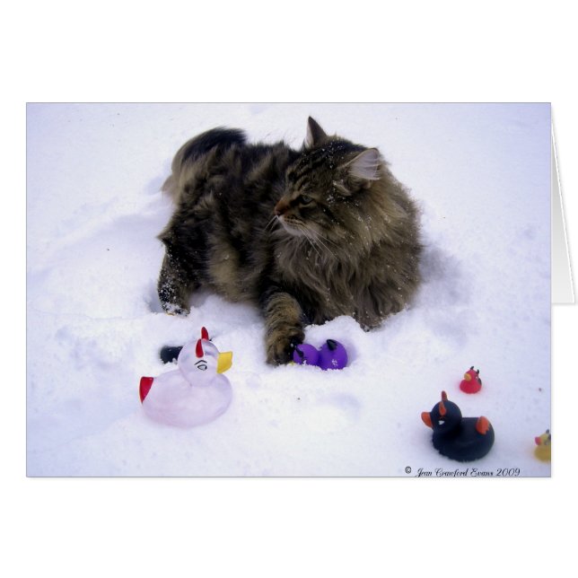 Ferocious Snow Cat (Vorderseite (Horizontal))