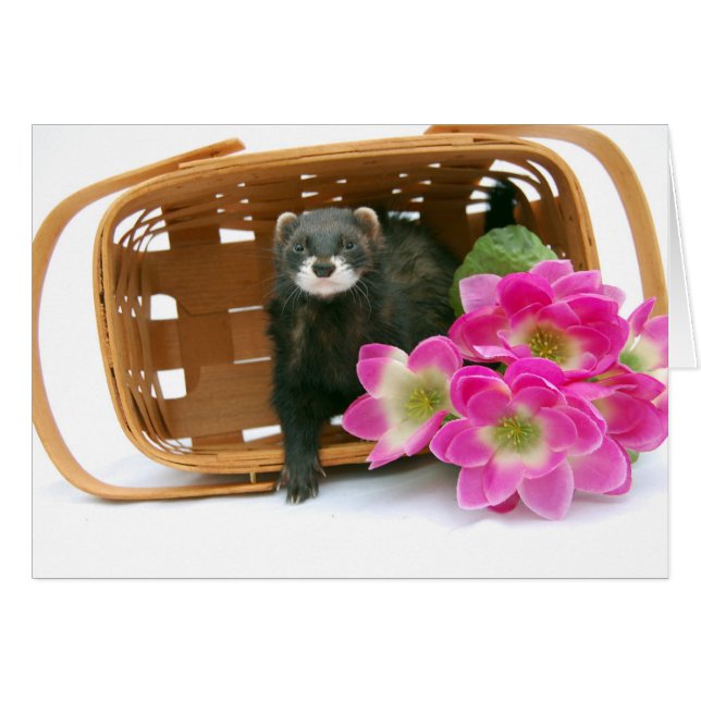 Ferret Card (Vorderseite (Horizontal))