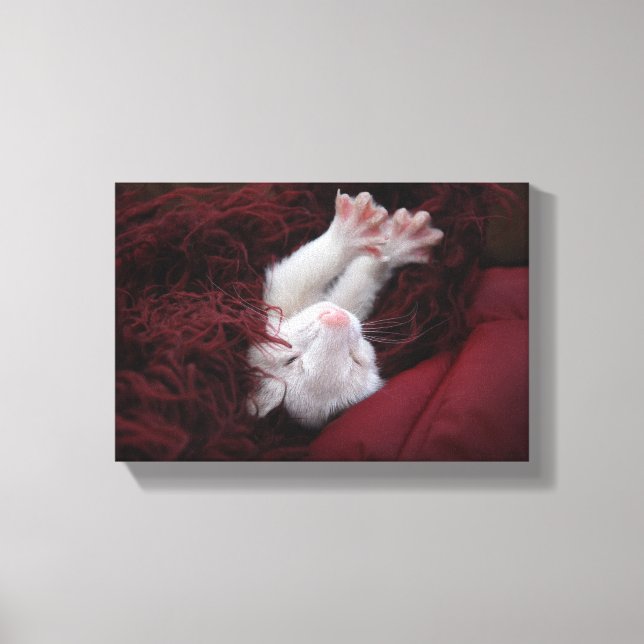 Ferret Dezember - Stretched Canvas Prints Leinwanddruck (Vorderseite)