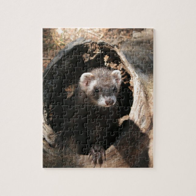 Ferret Face Puzzle (Vertikal)