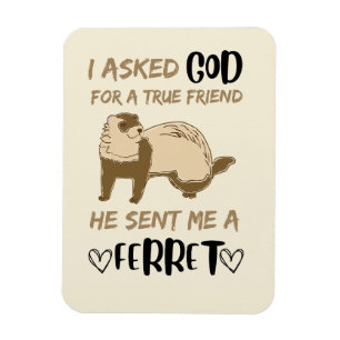 Ferret Friend Adorable Funny Pet Animal Bestie Magnet