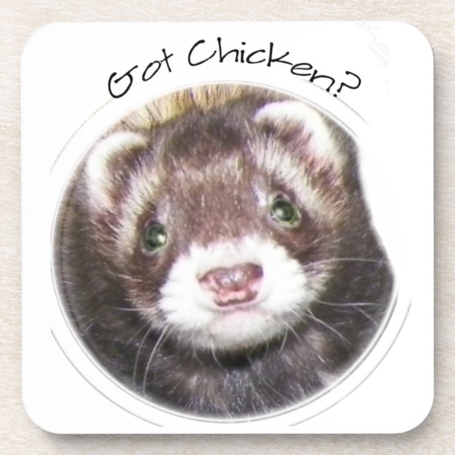 Ferret Gesicht Bild Got Hühnchen? Untersetzer (Vorderseite)
