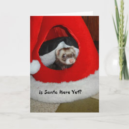 Ferret Gewartet für die Weihnachtskarte Feiertagskarte