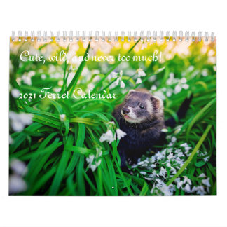 Ferret-Kalender 2021 Kalender
