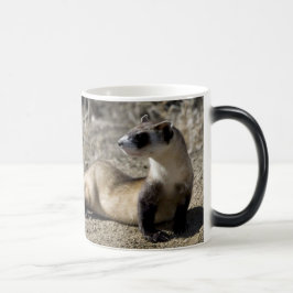 Ferret Mongoise Verwandlungstasse