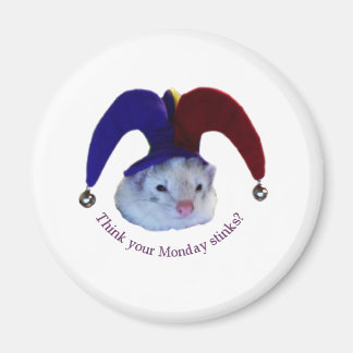Ferret Montag Magnet