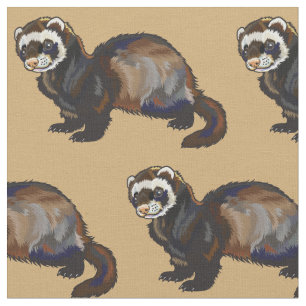 Ferret (Mustela putorius furo) Stoff