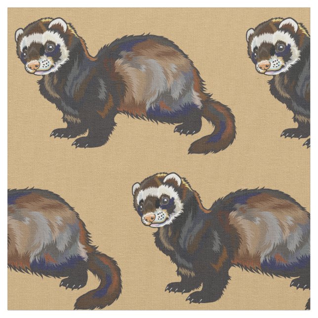 Ferret (Mustela putorius furo) Stoff (Nahaufnahme)