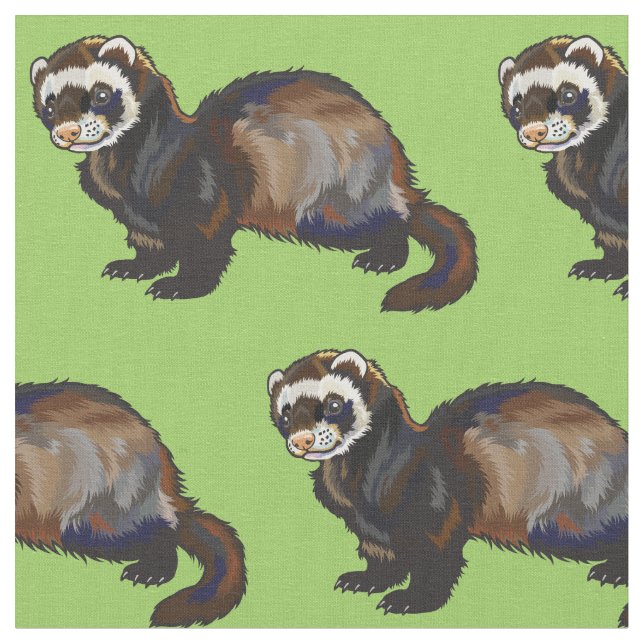 Ferret (Mustela putorius furo) Stoff (Nahaufnahme)