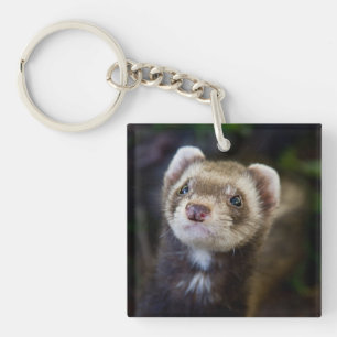 Ferret Schlüsselanhänger