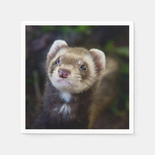 Ferret Serviette