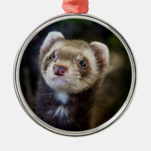 Ferret Silbernes Ornament