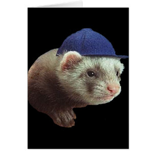 Ferret Wear Hat Card