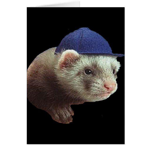 Ferret Wear Hat Card (Vorne)