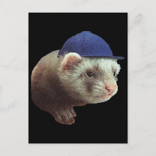 Ferret Wearing Hat Postkarte