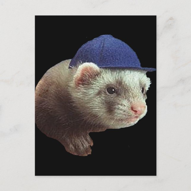 Ferret Wearing Hat Postkarte (Vorderseite)